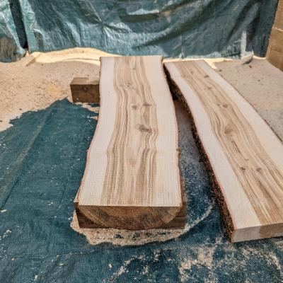 Oak Plank 1